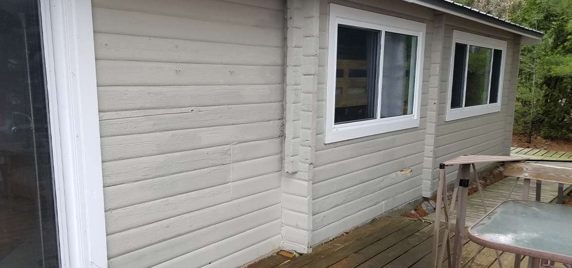 2_Big-Tomb-Island-Ant-Attack-interesting-facts